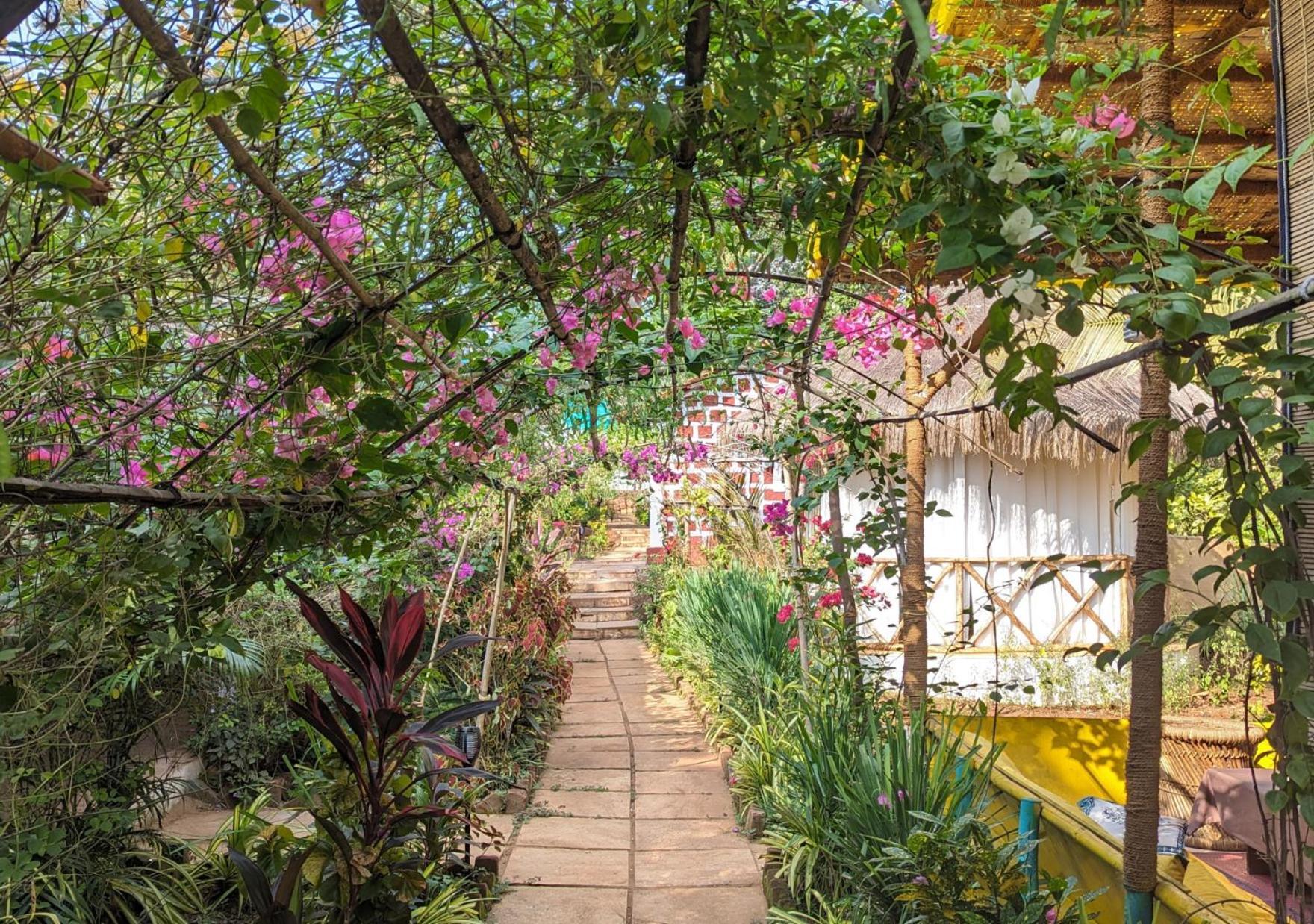 Hippie Paws Hotel Mandrem Exterior foto