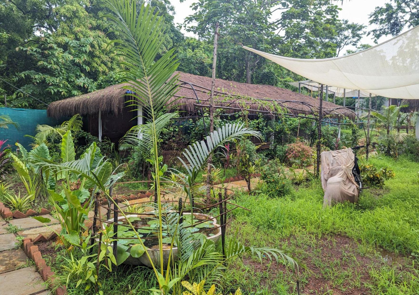 Hippie Paws Hotel Mandrem Exterior foto